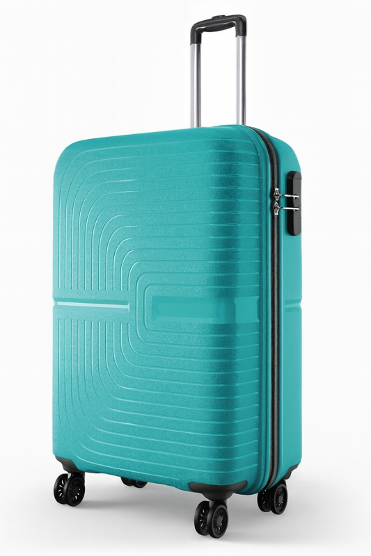 Travel Bag